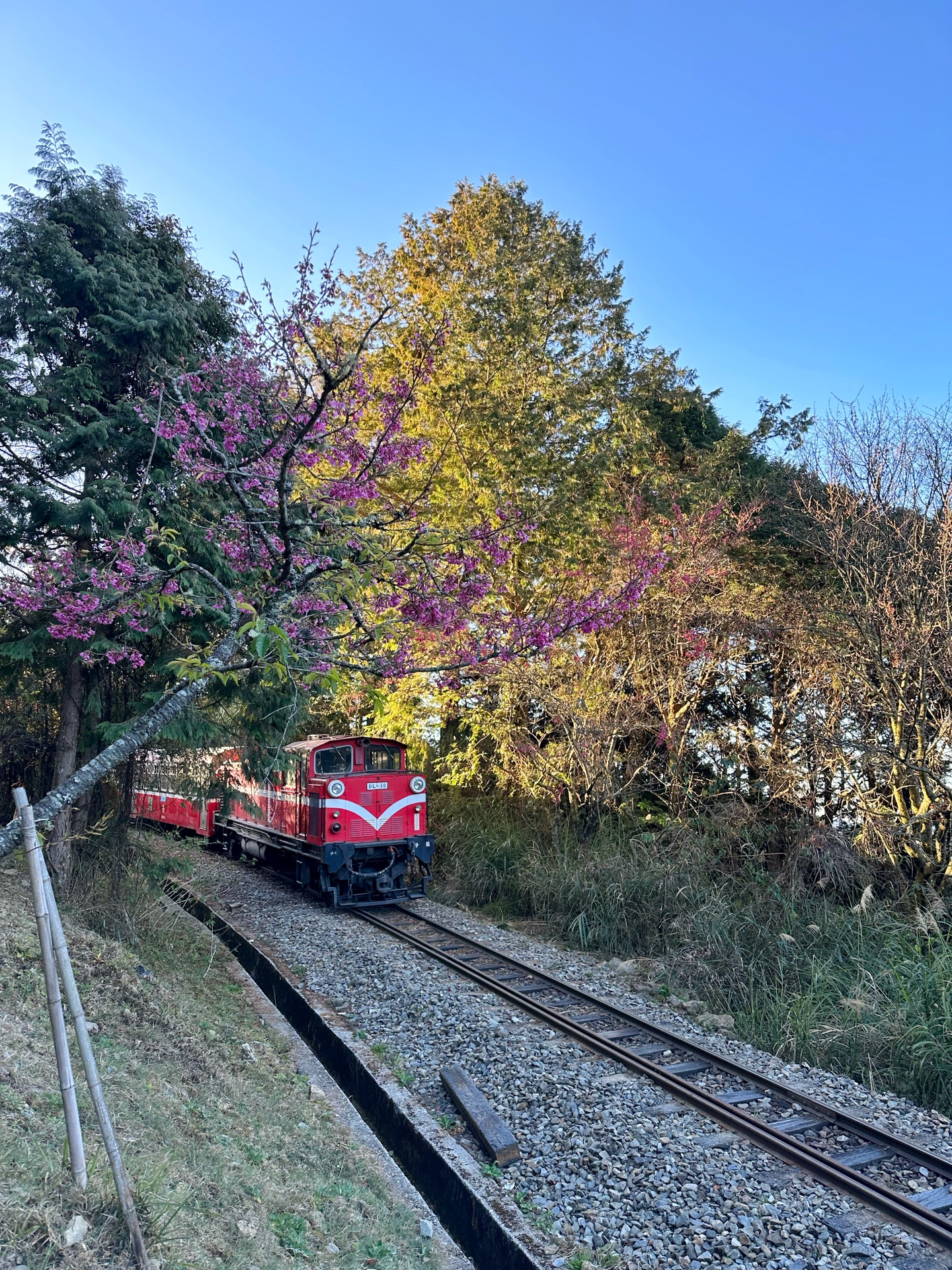 如何去台湾自由行旅游攻略,台湾旅游自由行详细攻略