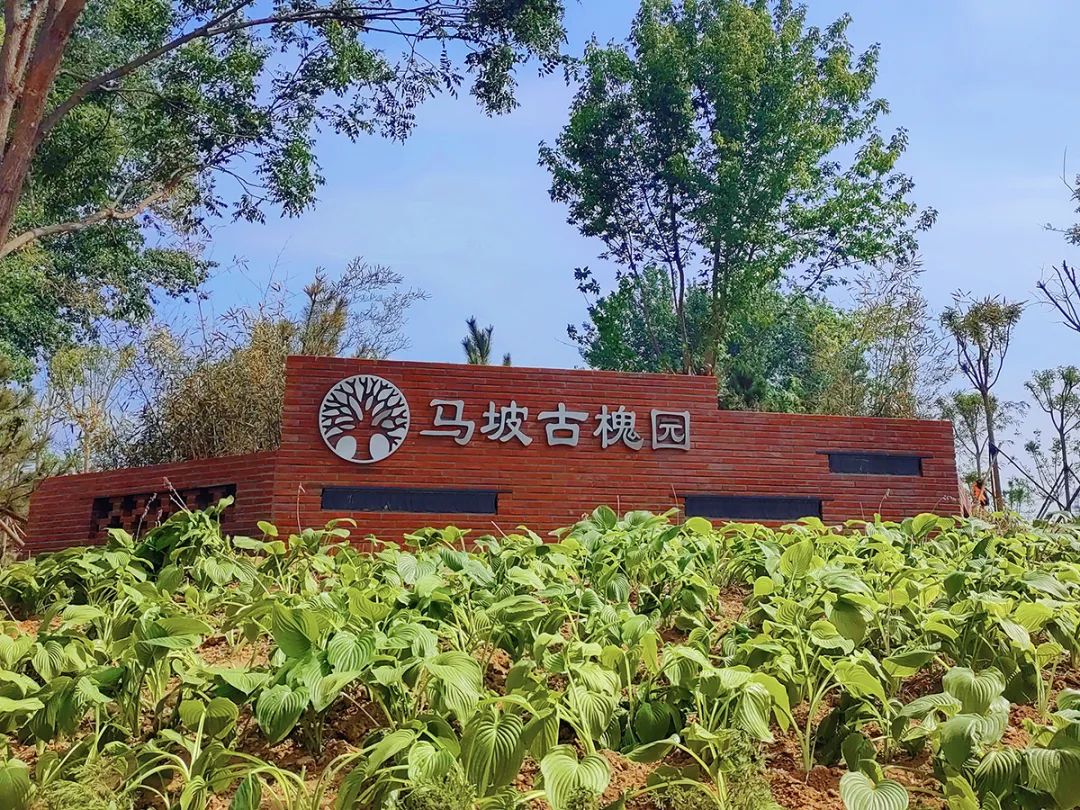 马坡小镇风景,顺义马坡城市面貌