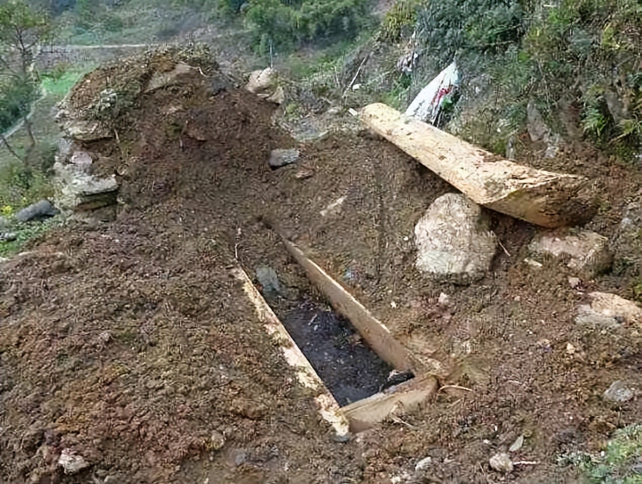 坟旁生三树子孙后代富是啥意思,农村俗语坟前生洞子孙穷