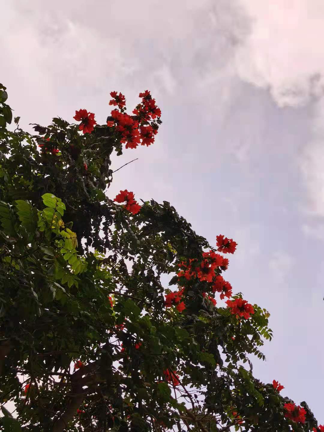 在海口如何快速找到工作,在海口有哪些工作可以做