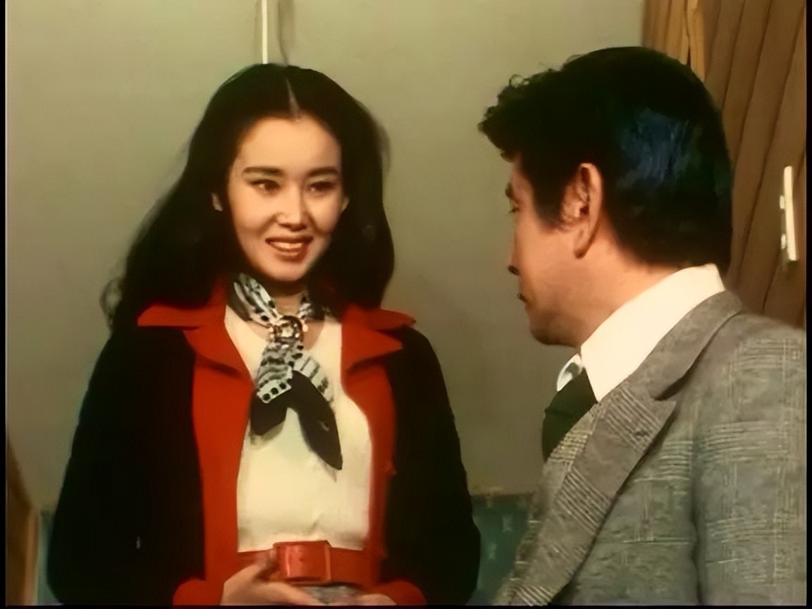 中野良子真由美,真由美中野良子简介