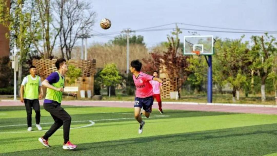 北京中学国际部：在“致中和”的健康教育生态中，成就自由生长