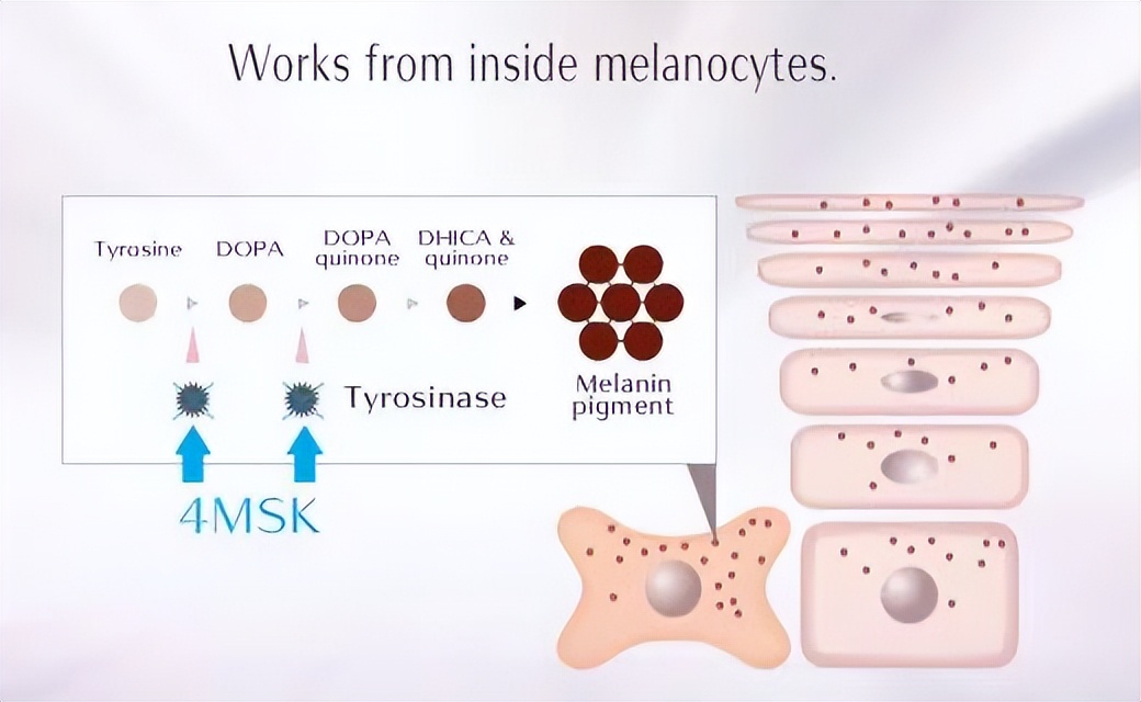 美白还抗老紧致的精华,美白身体猛药