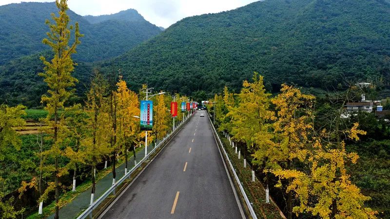 绵竹风景最好的地方在哪 (赏花一日游最佳去处绵竹)