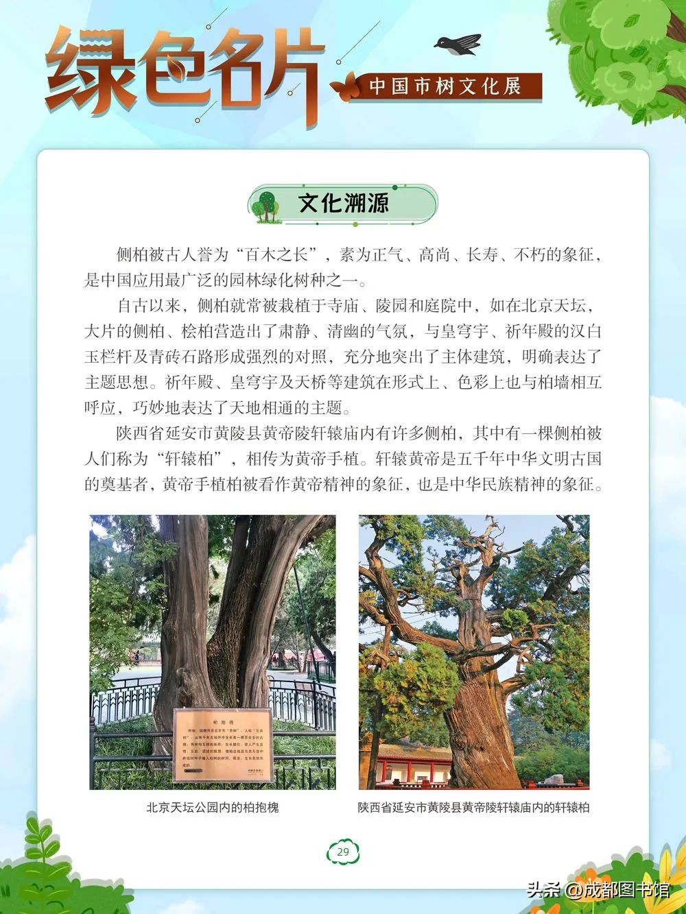 数字文化资源宣传,数字文化资源