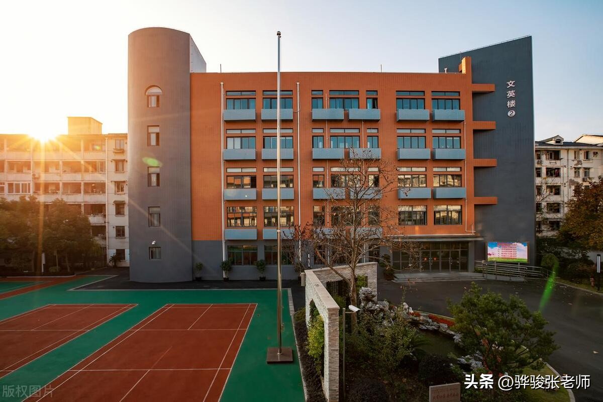 郑州金水前十名重点小学,郑州市金水区小学排名一览表最新