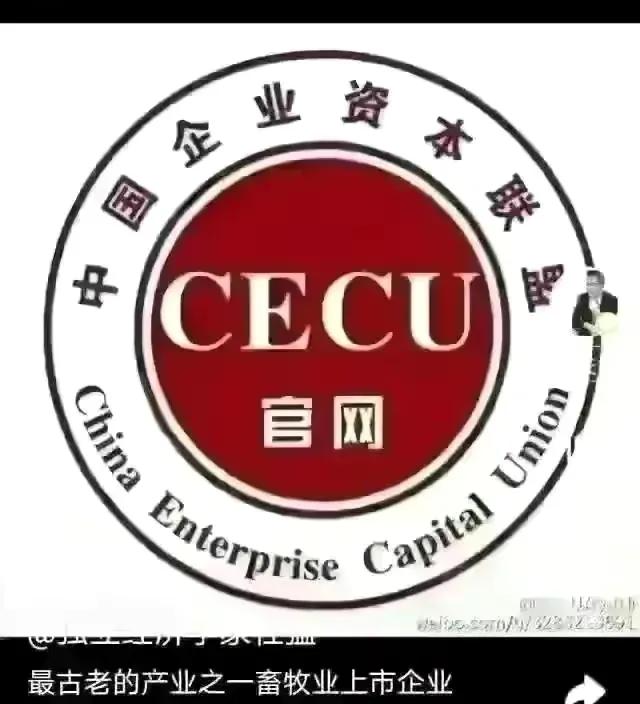 杜猛金融街电讯视频,上海金融街电讯杜猛