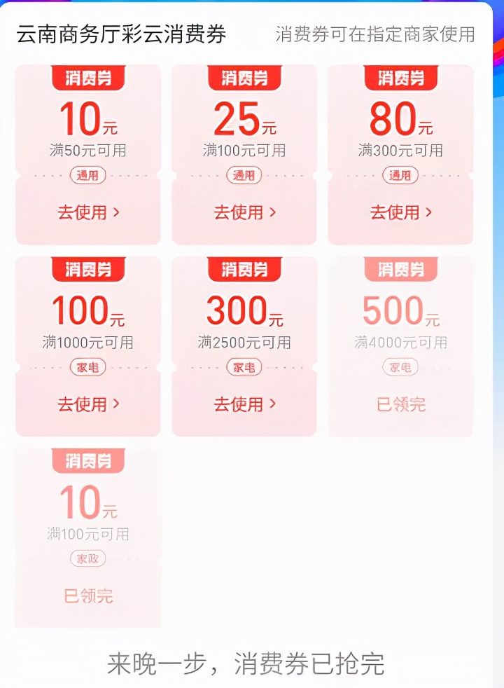 你抢到了吗南阳投放第一轮消费券,你抢到冰墩墩了吗