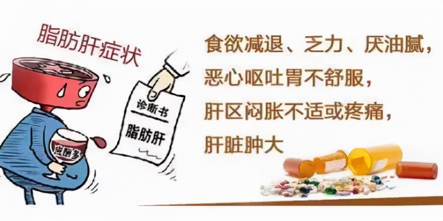 两肋胀痛和脂肪肝有关系吗,脂肪肝右肋骨下方闷胀