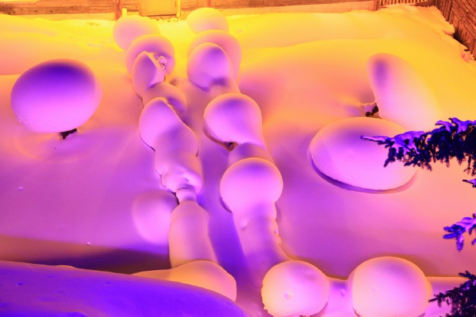 雪乡还有人去挨宰吗,去雪乡不参团