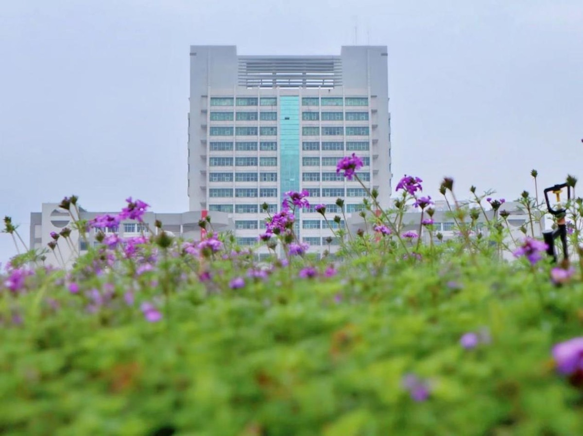 东华西华南华北华四所大学比较,东华南华西华北华哪个大学好