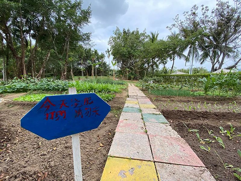 三亚归来不看海什么意思,三亚归来不看海黄山归来不看山