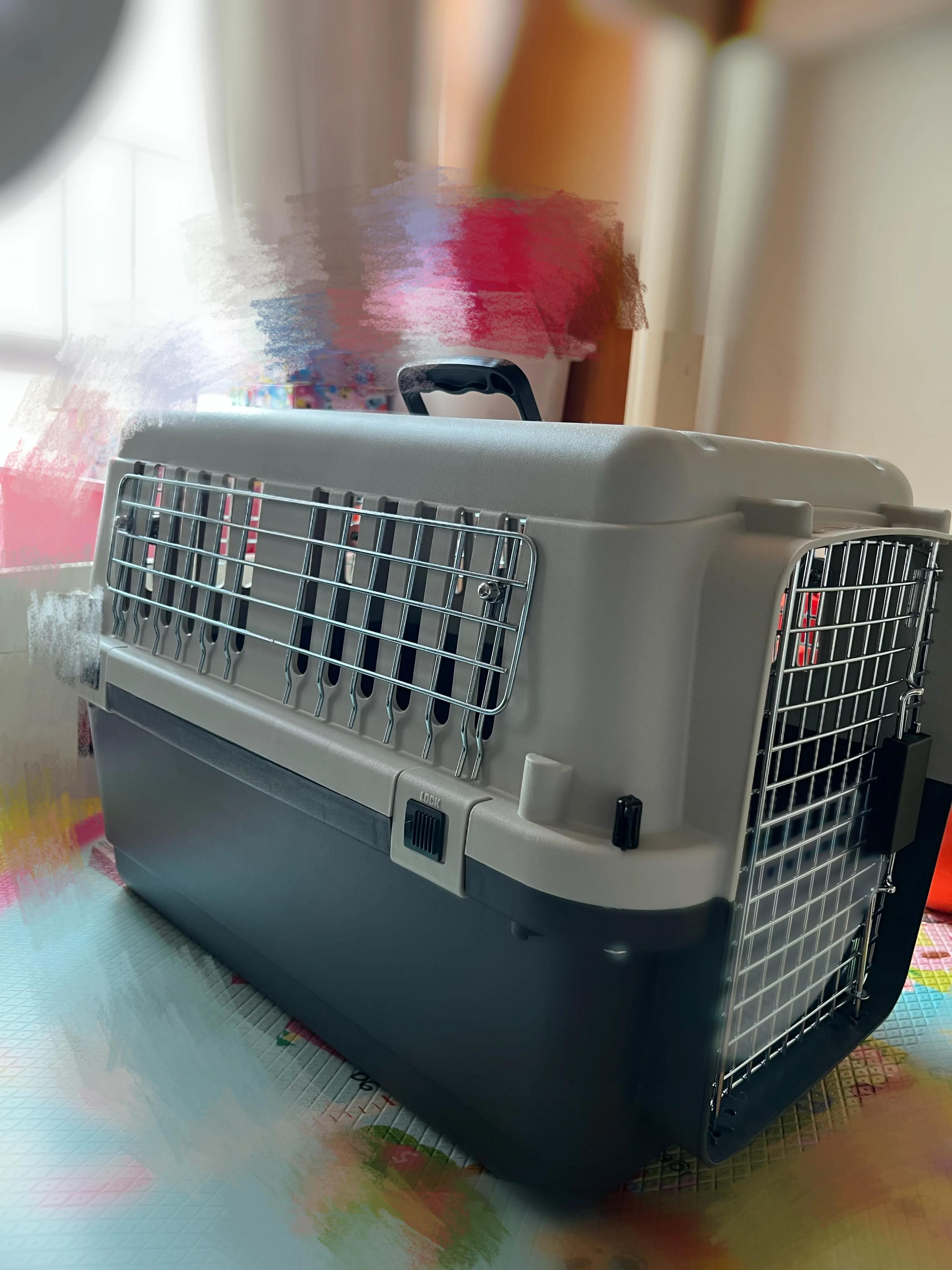 宠物狗托运得多少钱,宠物狗托运需要哪些手续