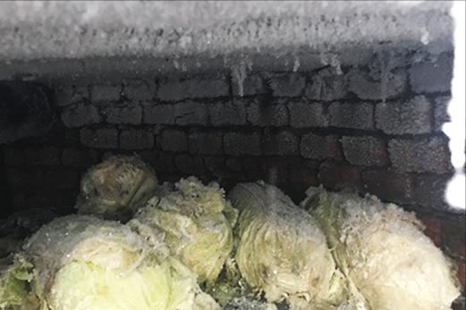 巴音博罗散文集,散文作者巴音博罗简介