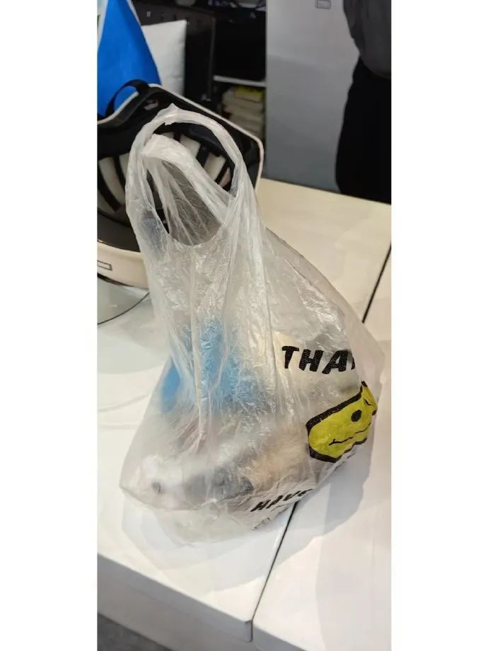 没十年工龄背不出这通勤包|冷段子2520去年今日2162