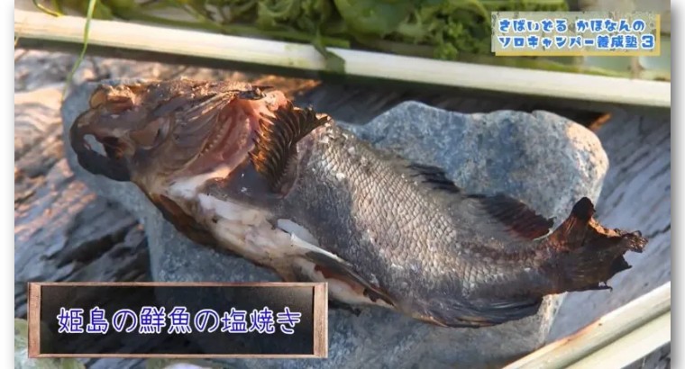 青岛姑娘买下日本小岛在哪个位置,中国女孩买下日本一小岛