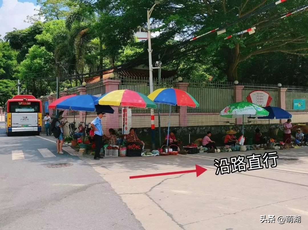 广州这个竹林溯溪胜地玩水,清凉避暑好去处山洞里一起来玩水