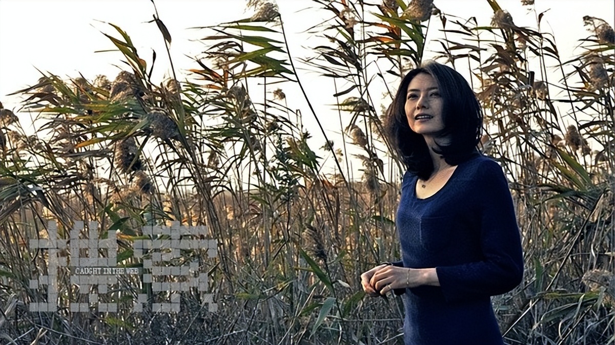 陈凯歌网络暴力电影名字,陈凯歌对电影搜索的评价