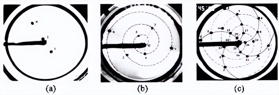 美丽是形容人还是形容物,美丽是形容什么的