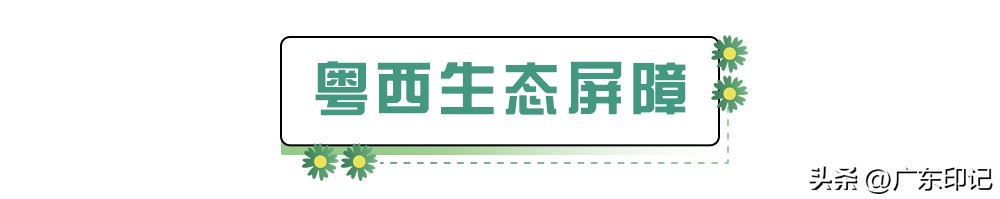 广州周边3-4小时旅游攻略,广州出发自驾四天粤西攻略