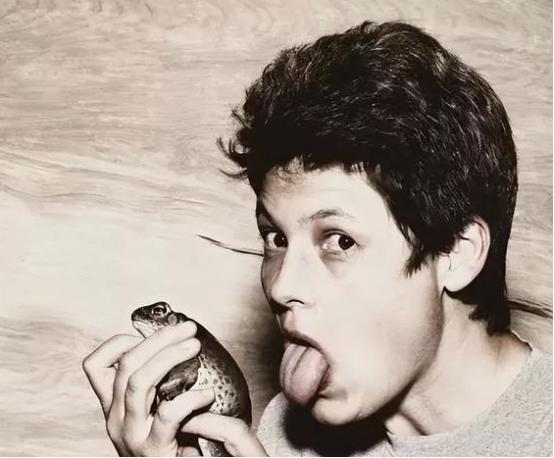 癞蛤蟆的毒有多可怕,癞蛤蟆毒素上瘾