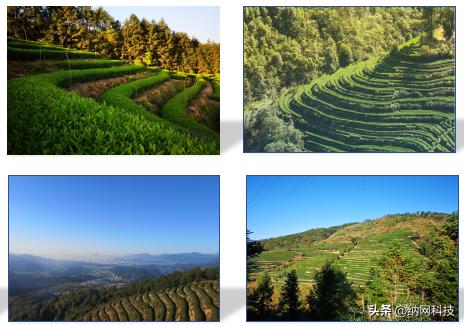 正山武夷注册“.购物”域名，创造品牌价值！