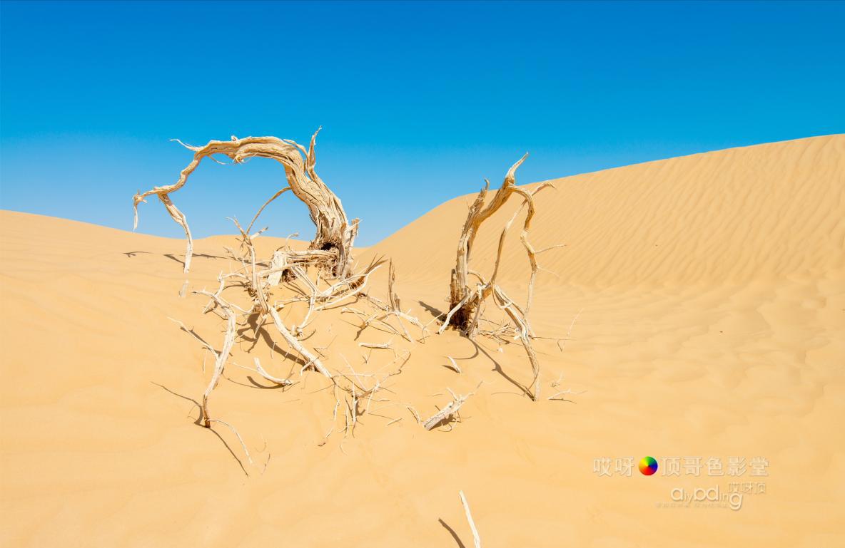 女司机带娃去新疆自驾游,带着女司机自驾游兰州