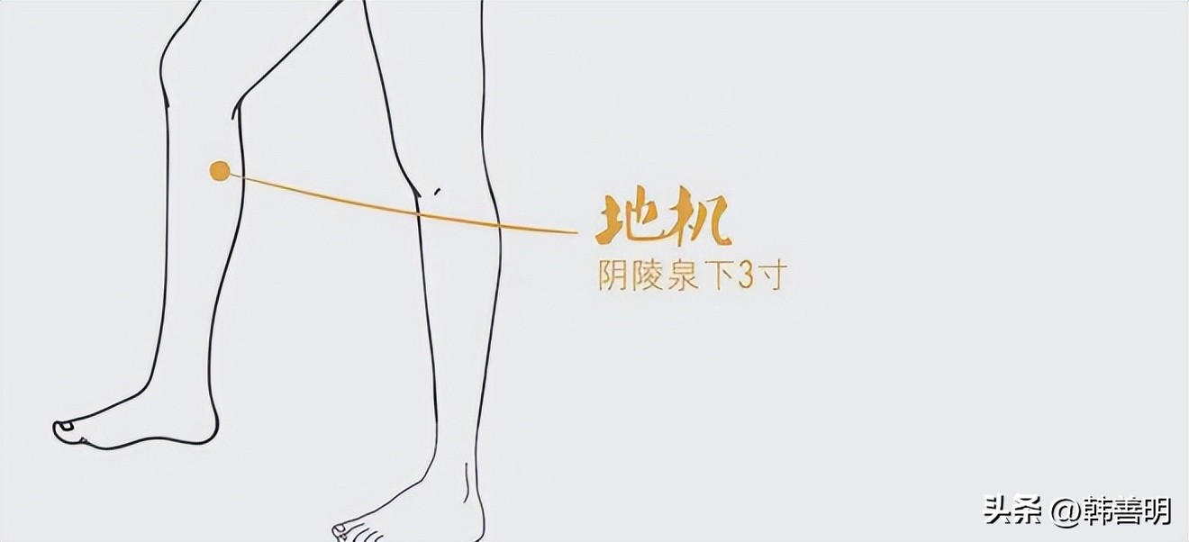 韩善明蕲艾疗法儿童艾灸穴位,韩善明艾灸教学视频