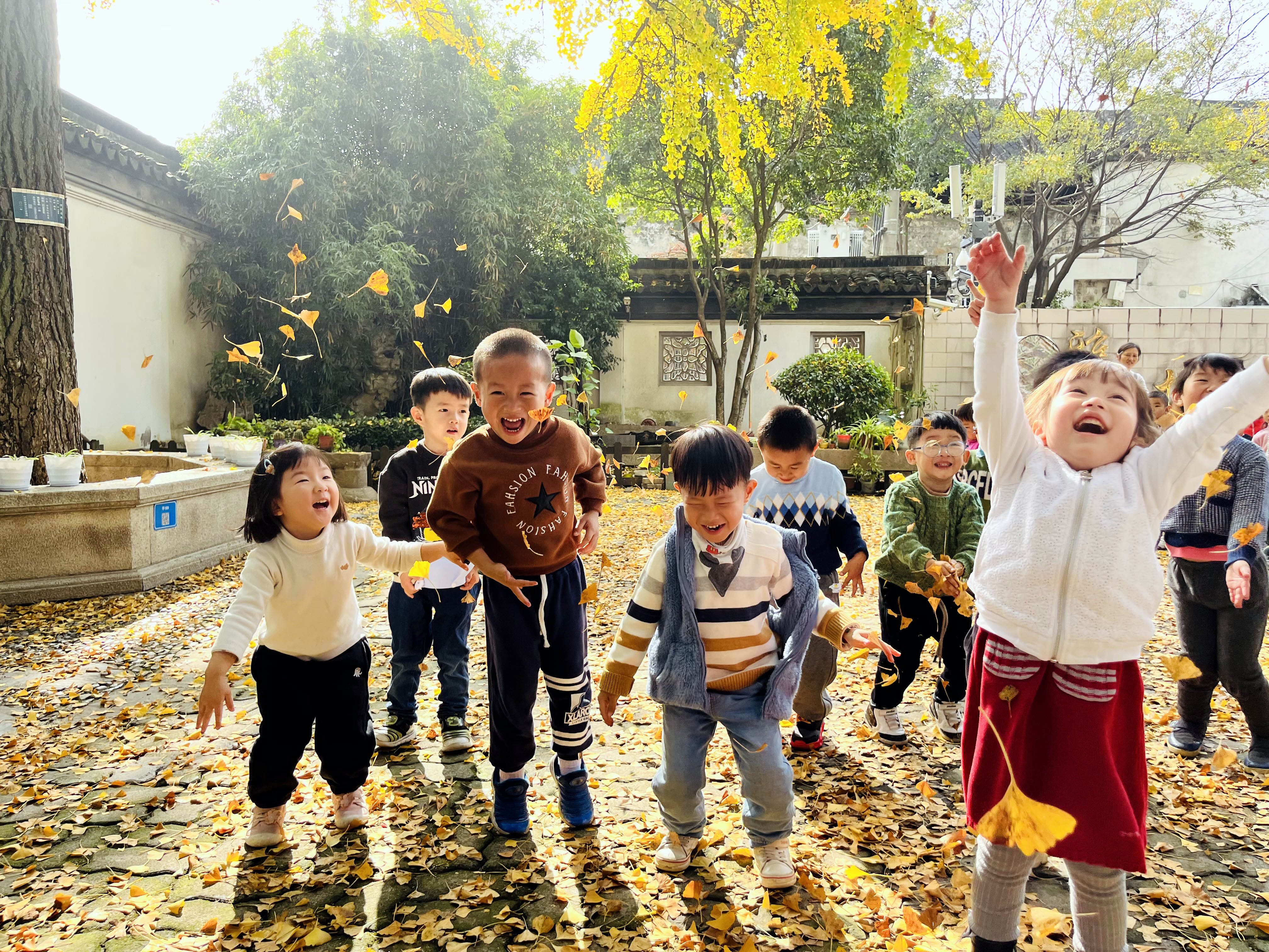 苏州小朋友用双手与银杏叶展开一场亲密接触享受快乐