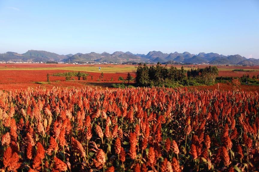 深圳一大爷“藏酒柜”火了，网友眼尖发现“端倪”直呼：真会喝