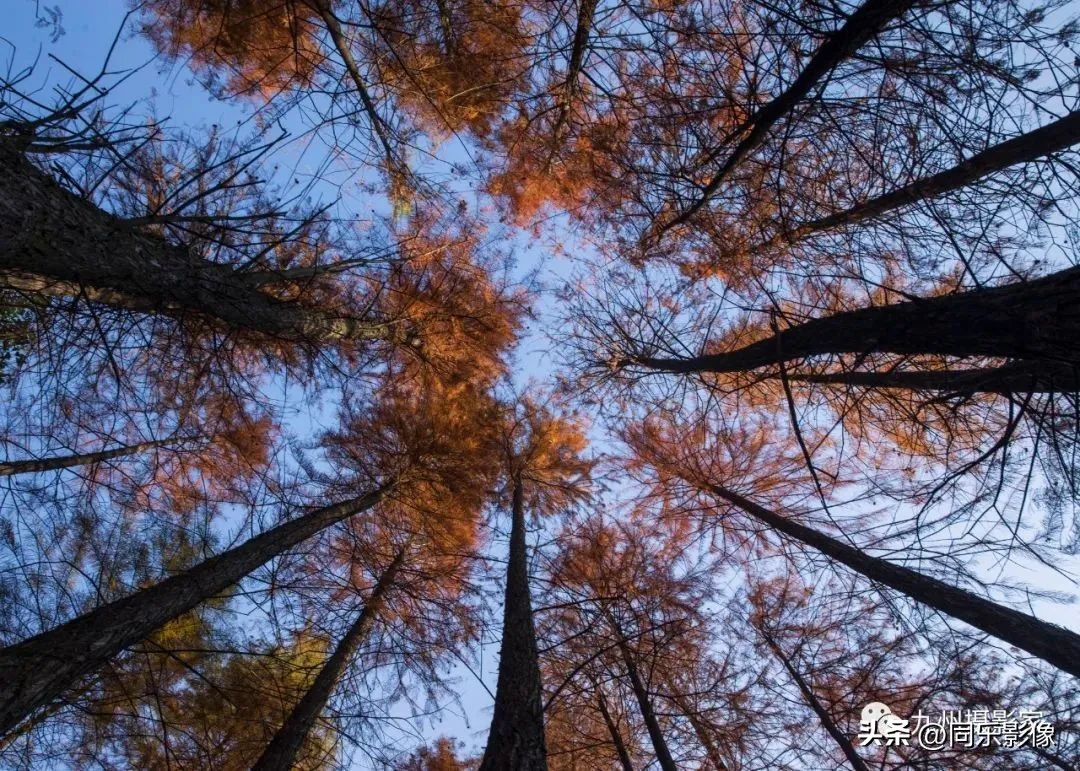 海阔凭鱼跃，天高任鸟飞---九州摄影浙江俱乐部优秀作品展