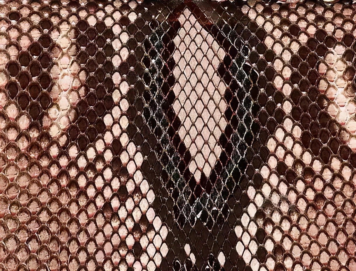 香奈儿鱼子酱的大球皮是什么皮质,香奈儿cf小号皮质是硬的还是软的