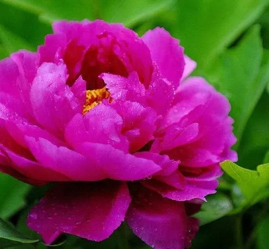 对看不惯的人与事如何调心态,对看不惯你的人怎么办