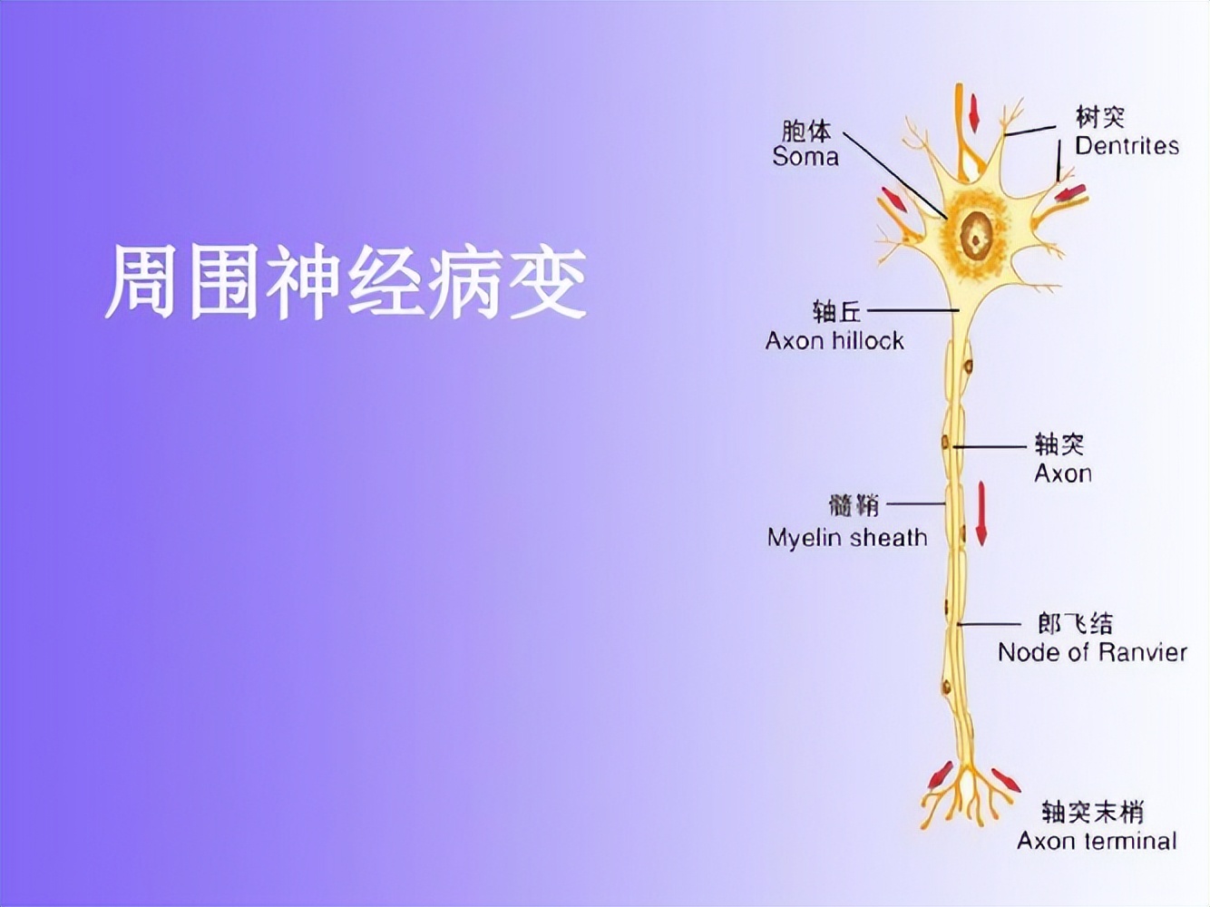 睡觉时突然腿抽筋是缺钙引起的吗,睡觉时腿抽筋不是缺钙那么简单