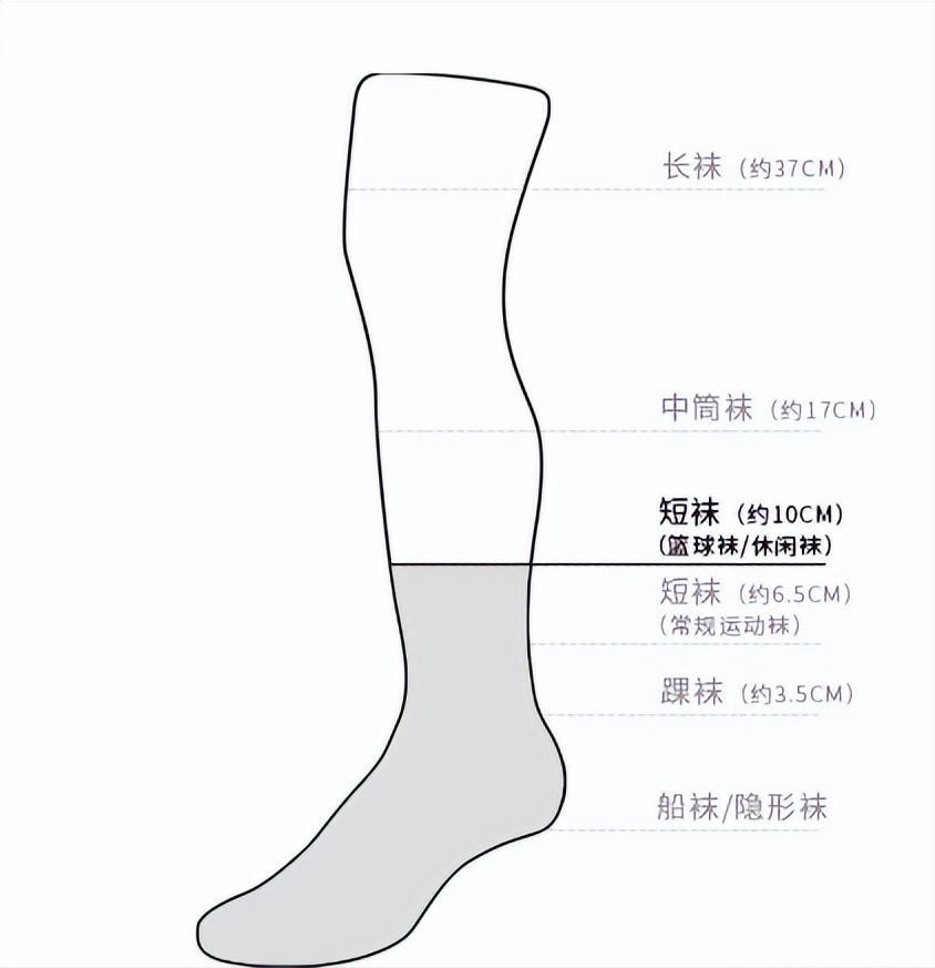还有哪些好看又不贵的袜子,多肉袜子