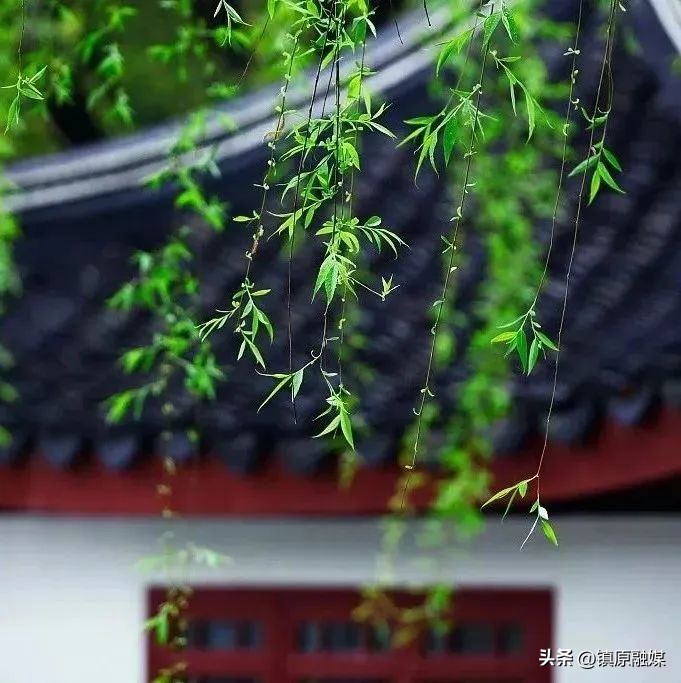 尘缘讲的是人生感悟吗,看淡尘缘自安心的句子