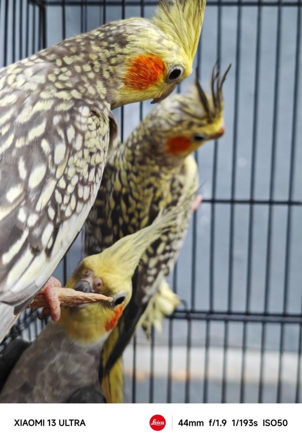 小米13ultra使用后感受,小米13ultra视频体验感受