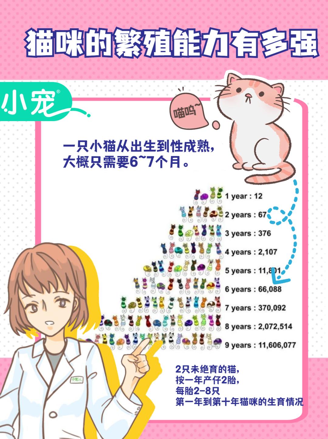 新手常见的害猫行为,养猫注意预防哪些疾病