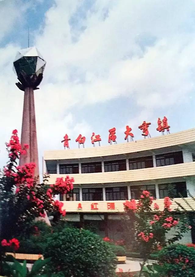 港剧那些年追过的剧,好港