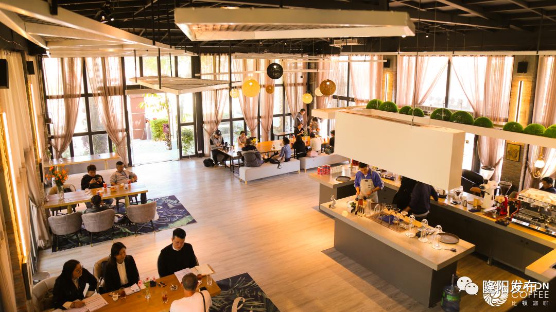 比顿咖啡园视频,潞江坝比顿咖啡产业文化园