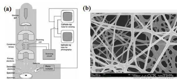锂离子电池正极材料失效分析,锂离子电池热分析