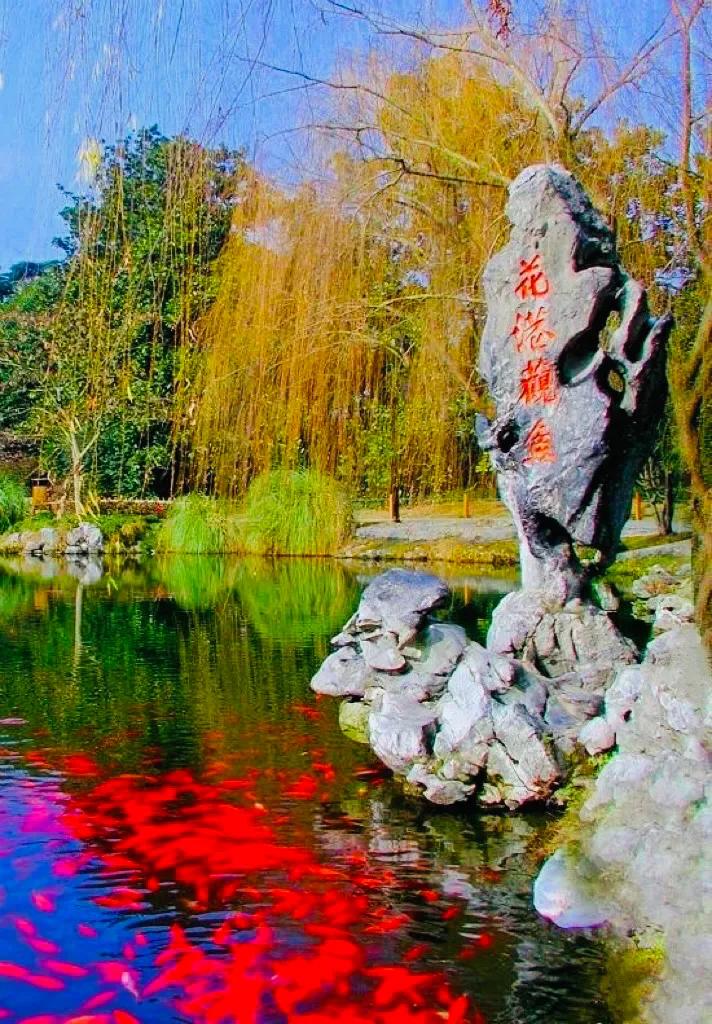 杭州西湖大雪纷飞,杭州西湖风景名胜区