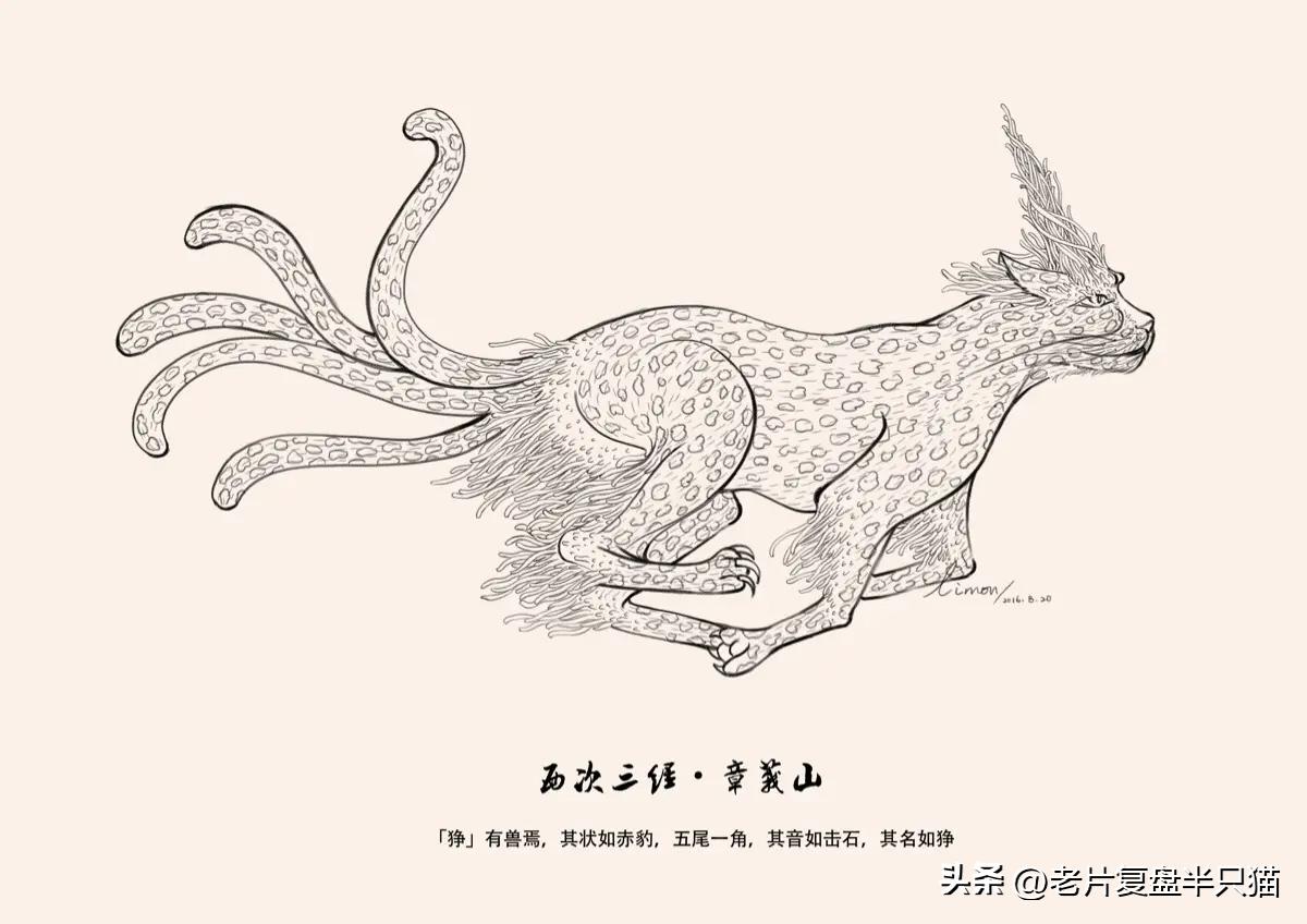 中国国漫大鱼海棠最后独白,大鱼海棠算是国漫中的经典