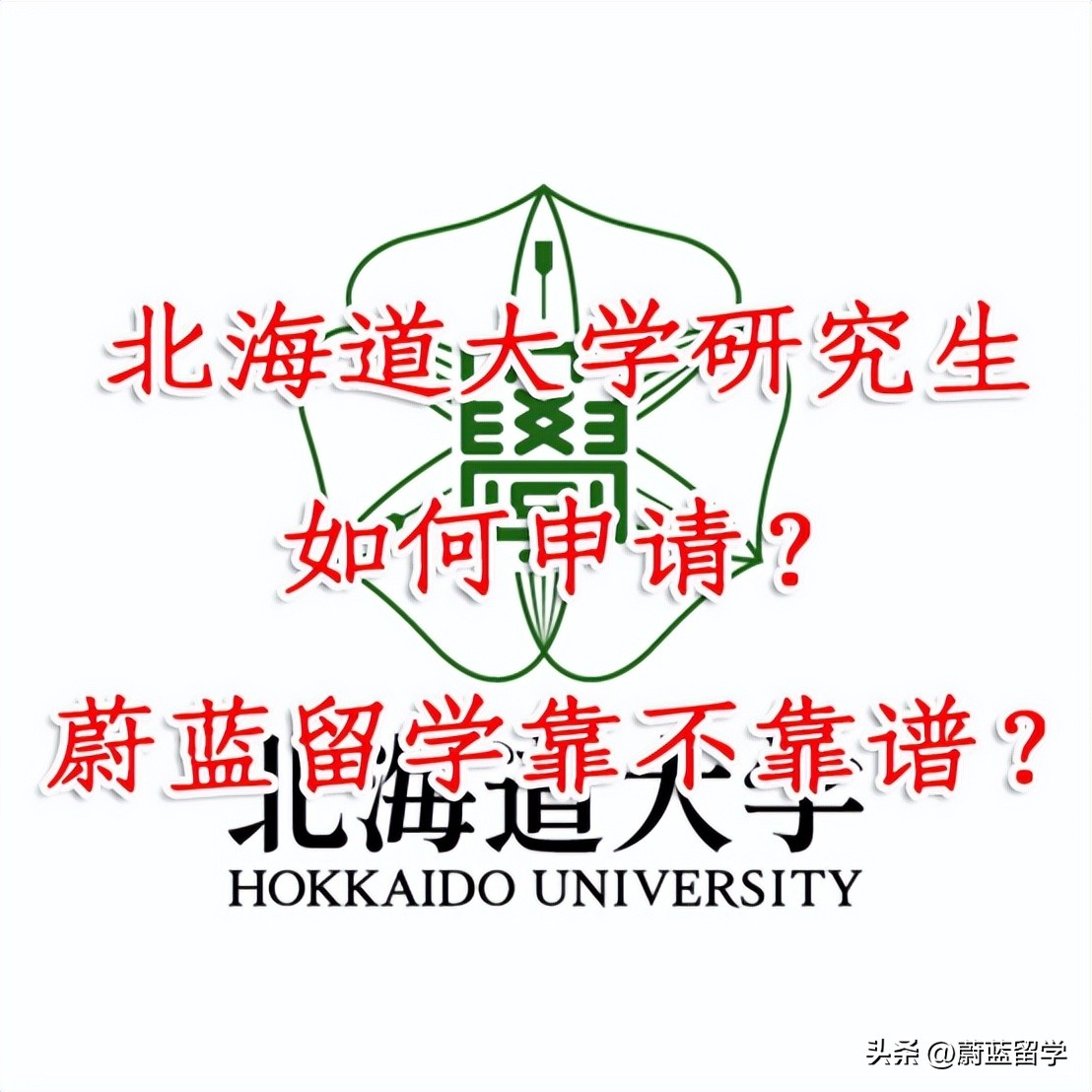 蔚蓝留学中介靠谱吗？北海道大学研究生申请难度如何？