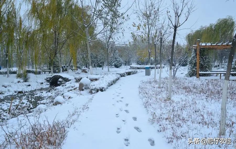 双春闰二月春寒到秋旱,双春闰二月会秋旱吗