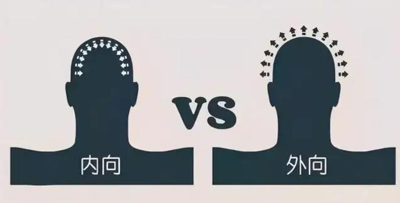 适合社恐和实操能力强的专业,社恐经济类专业