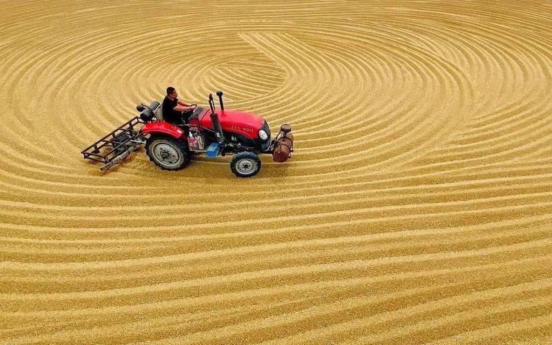 小麦收割跨区作业证,严查跨区作业证导致收割机被扣