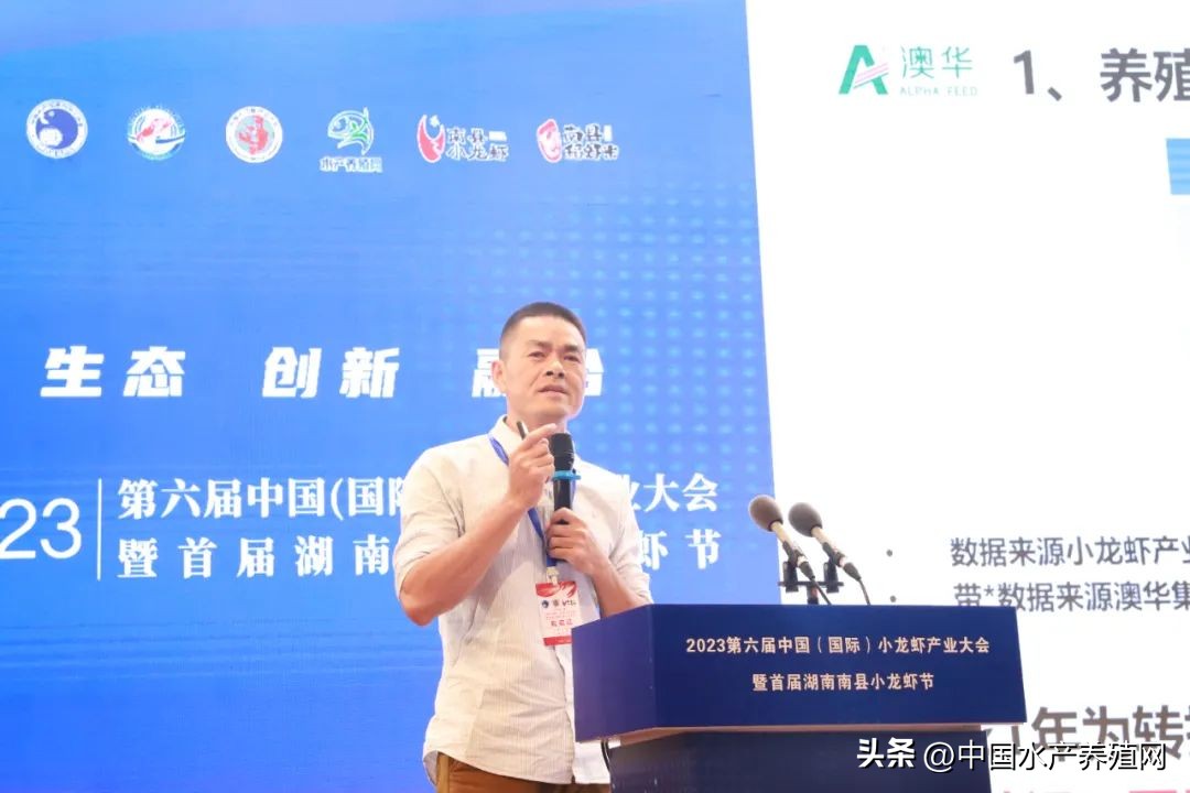 2023年南县小龙虾价格行情,南县小龙虾价格报价