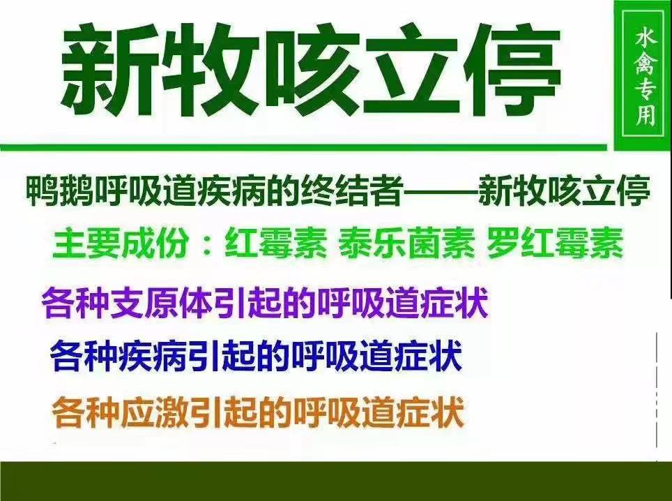 肉鸭感冒吃什么,鸭子感冒咳嗽用什么药