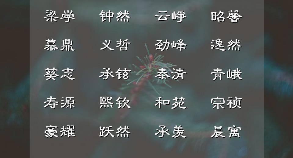 惊艳有诗意不俗男孩名字,具有诗意的男孩名字小众